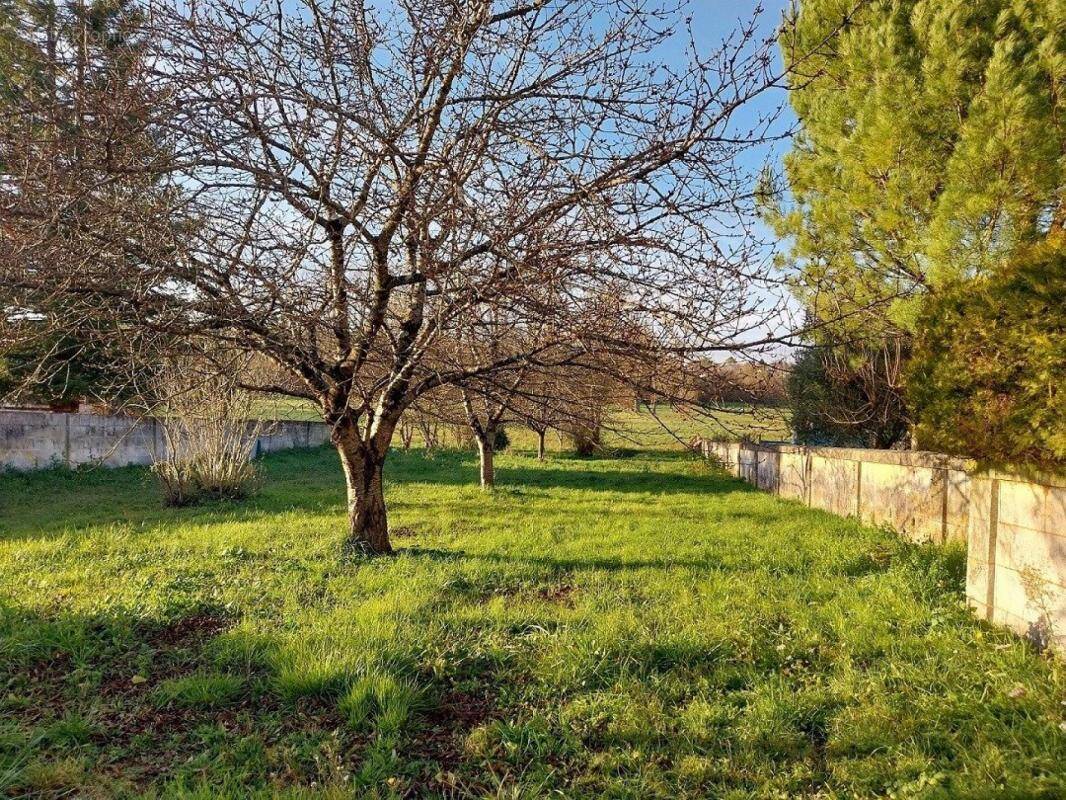 Terrain à PONS