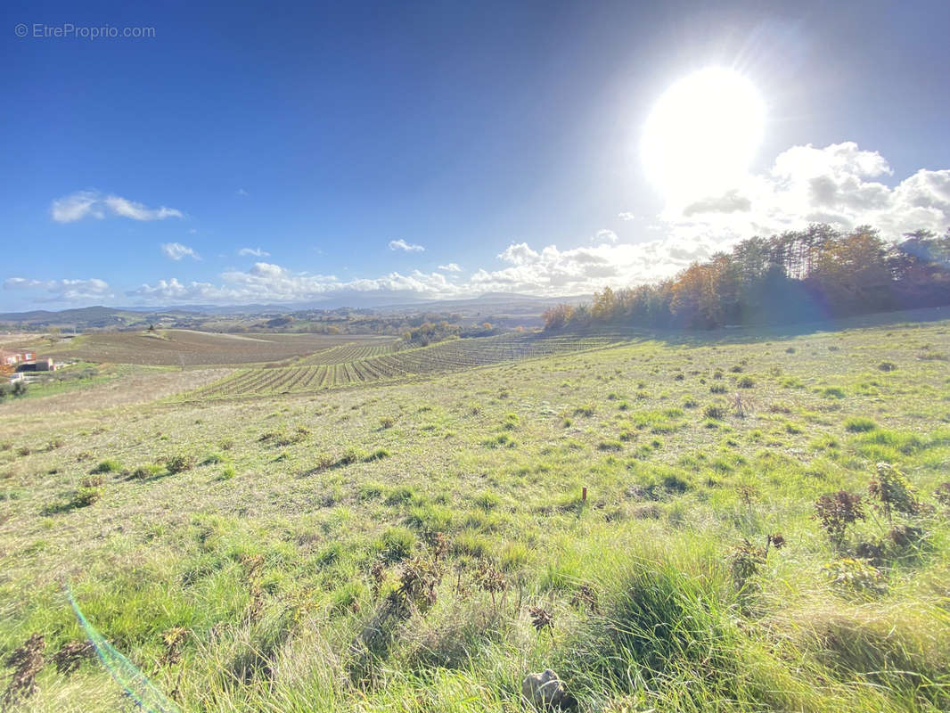 Terrain à LIMOUX