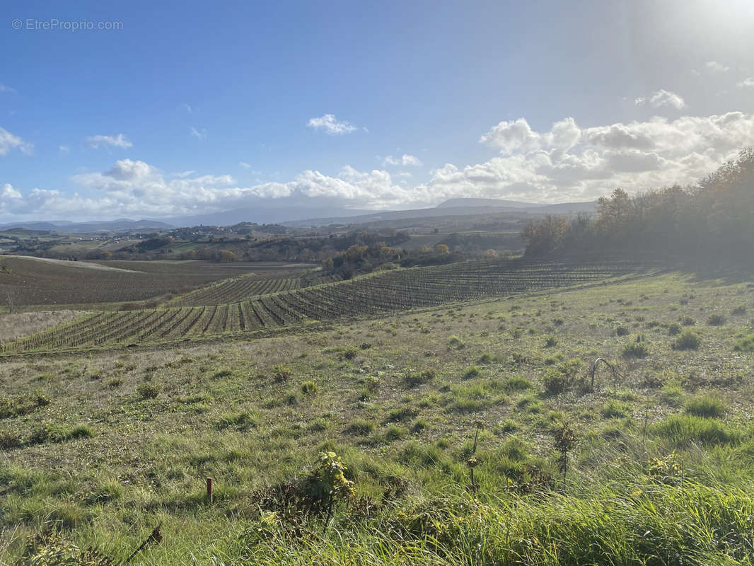 Terrain à LIMOUX