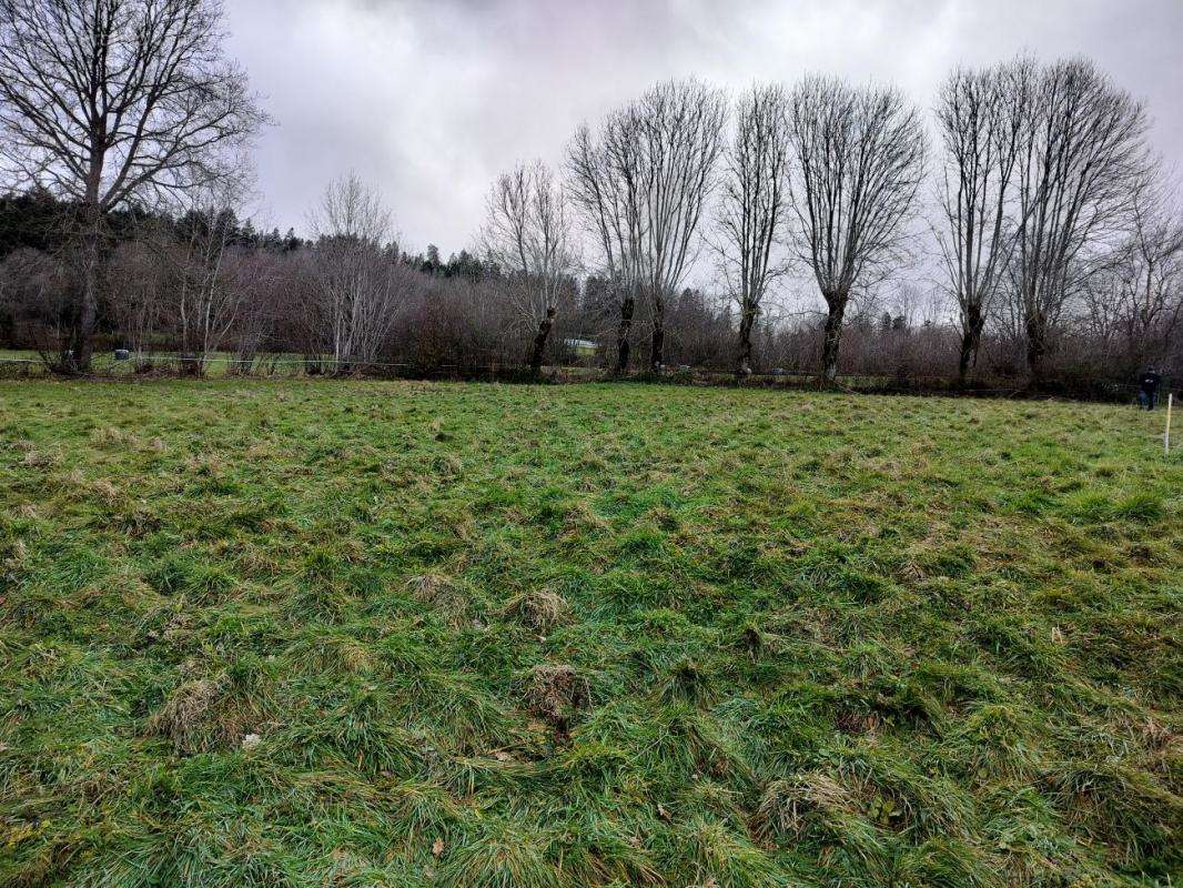 Terrain à CHARNAT