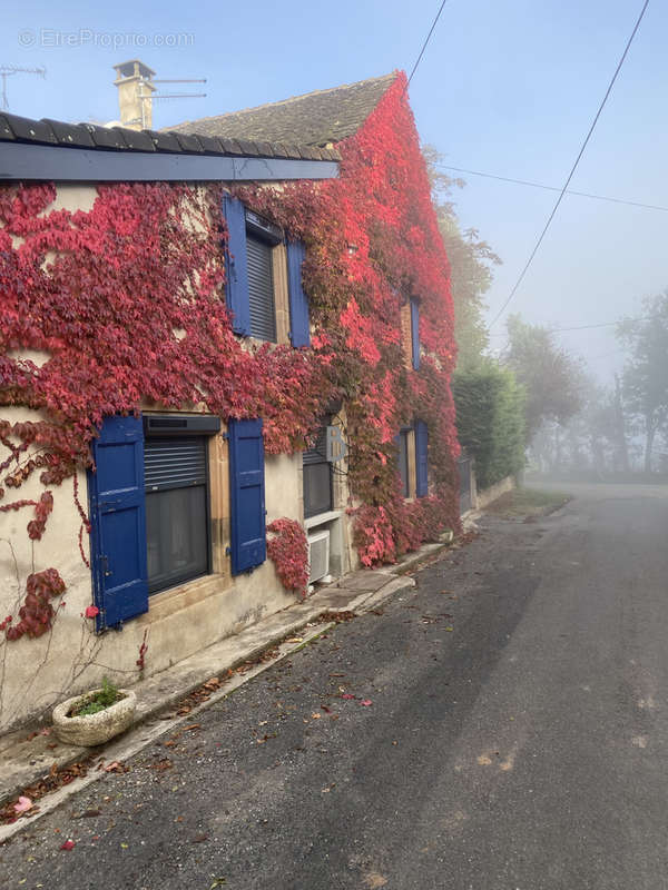 Maison à PAMPELONNE