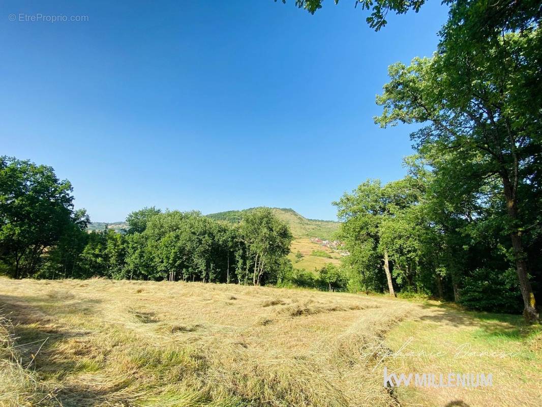 Terrain à MARCILLAC-VALLON