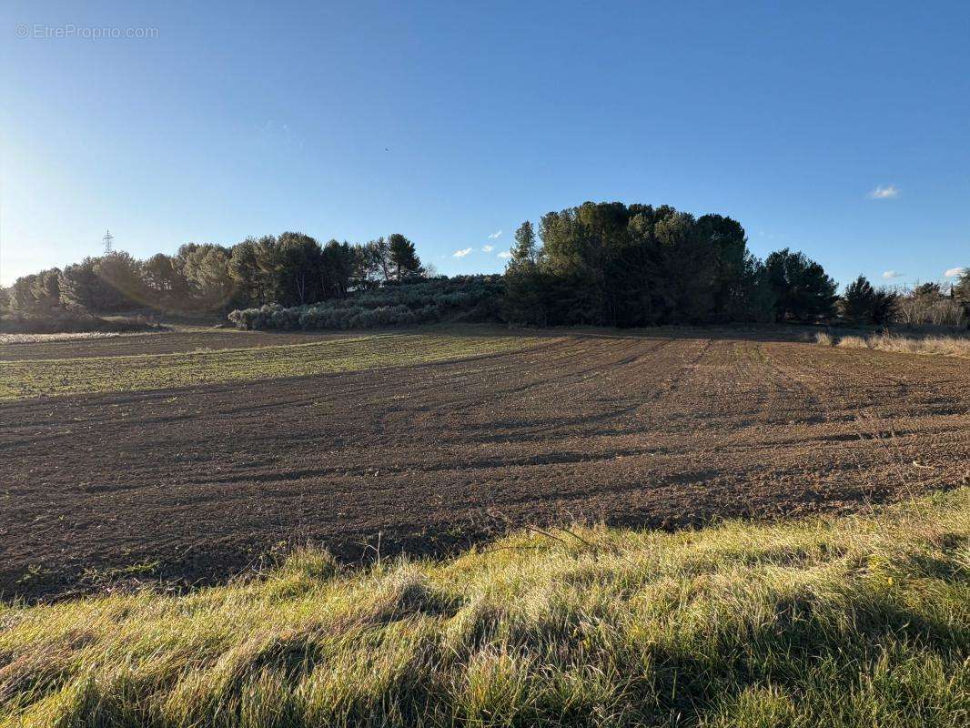 Terrain à VELAUX