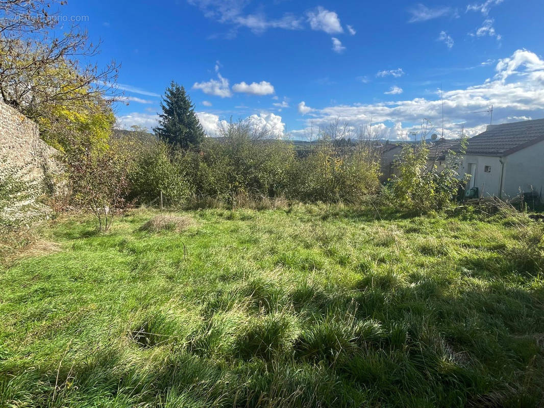 Terrain à LANGOGNE