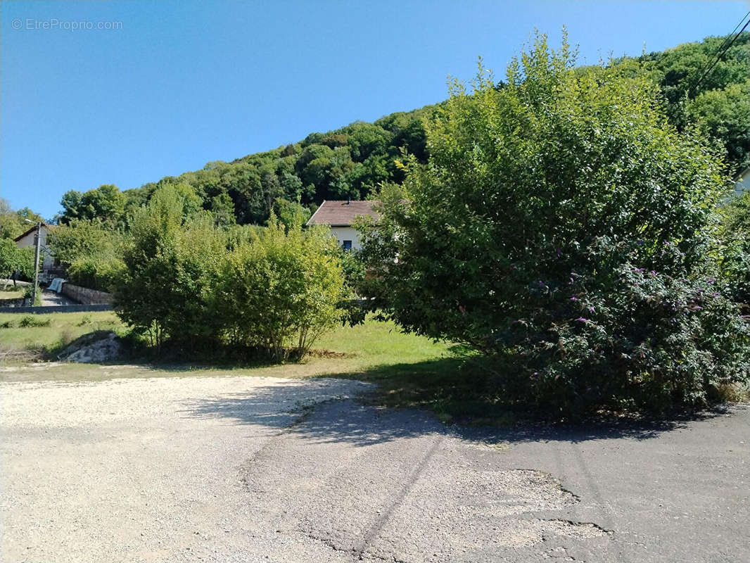 Terrain à ARBOIS