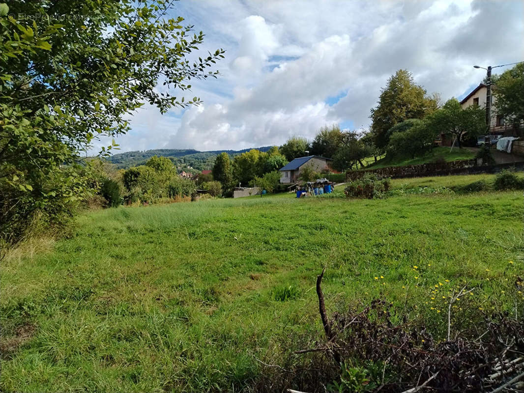 Terrain à ARBOIS