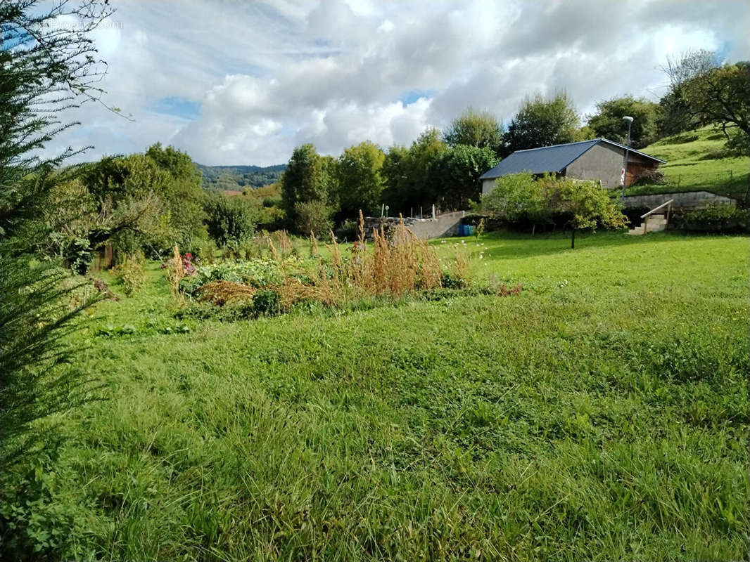 Terrain à ARBOIS