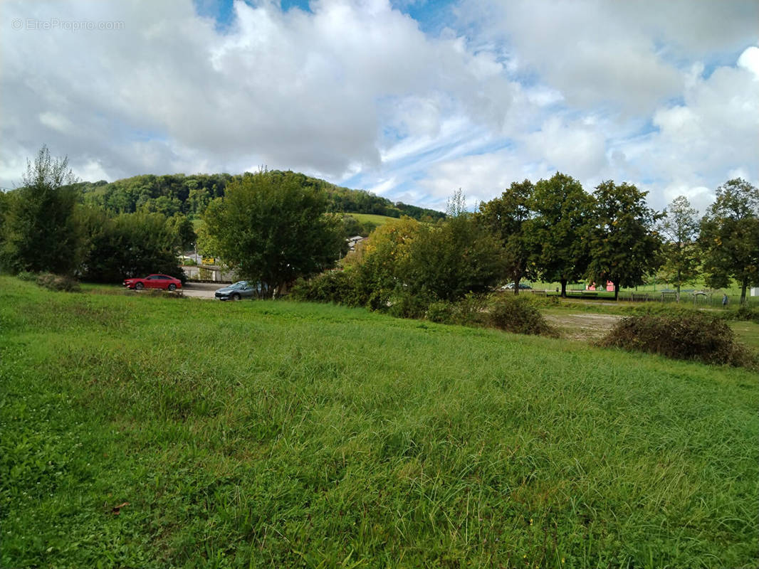 Terrain à ARBOIS