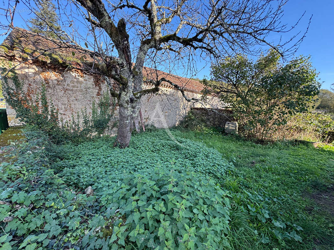 Maison à MONTCABRIER