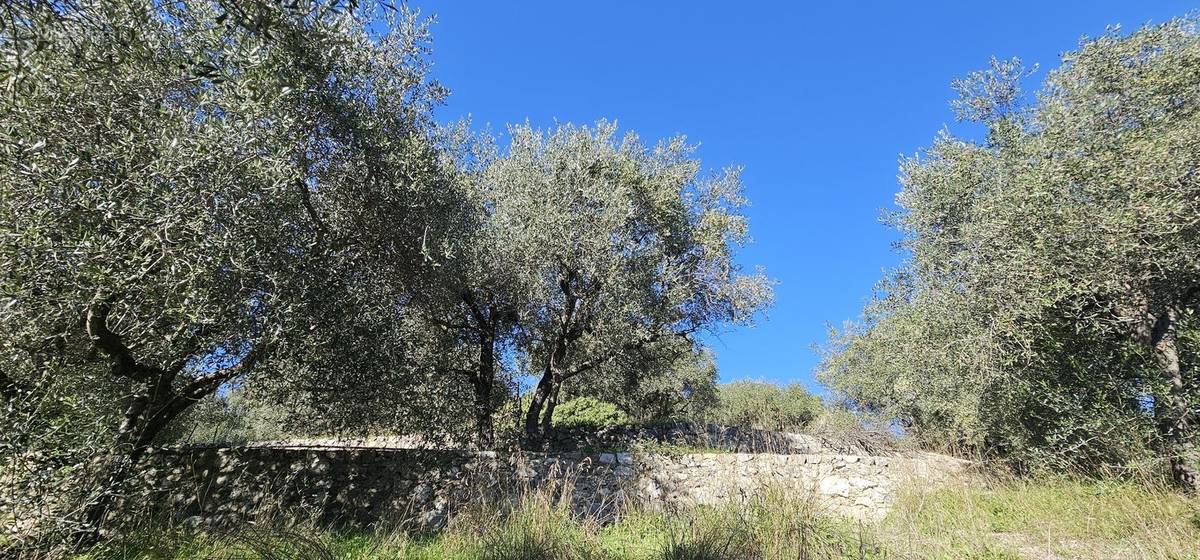 Terrain à TOURRETTE-LEVENS