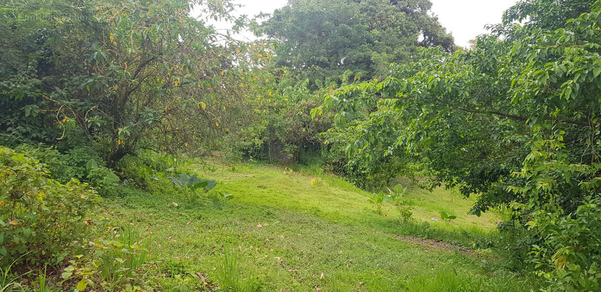 Terrain à LA TRINITE