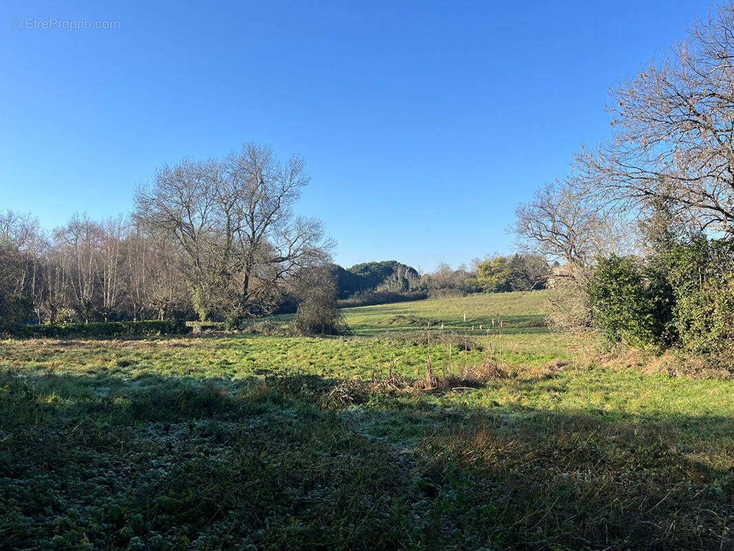 Terrain à SAINT-LOUBES