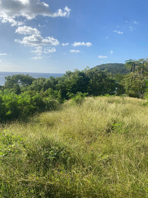 Terrain à LES ANSES-D&#039;ARLET