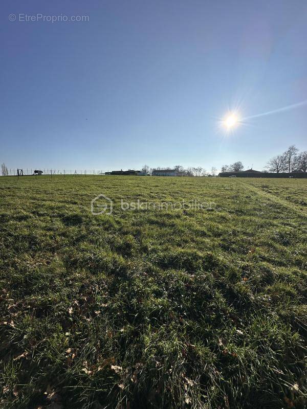 Terrain à CLERAC