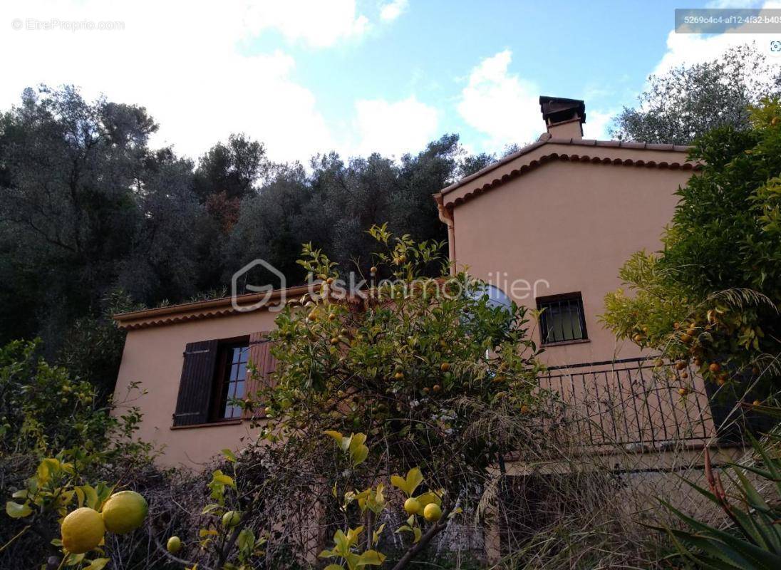 Maison à MENTON