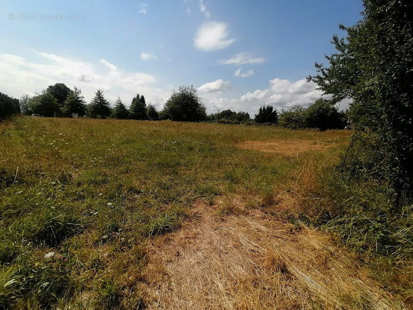 Terrain à SAINT-GEORGES-DE-MONS