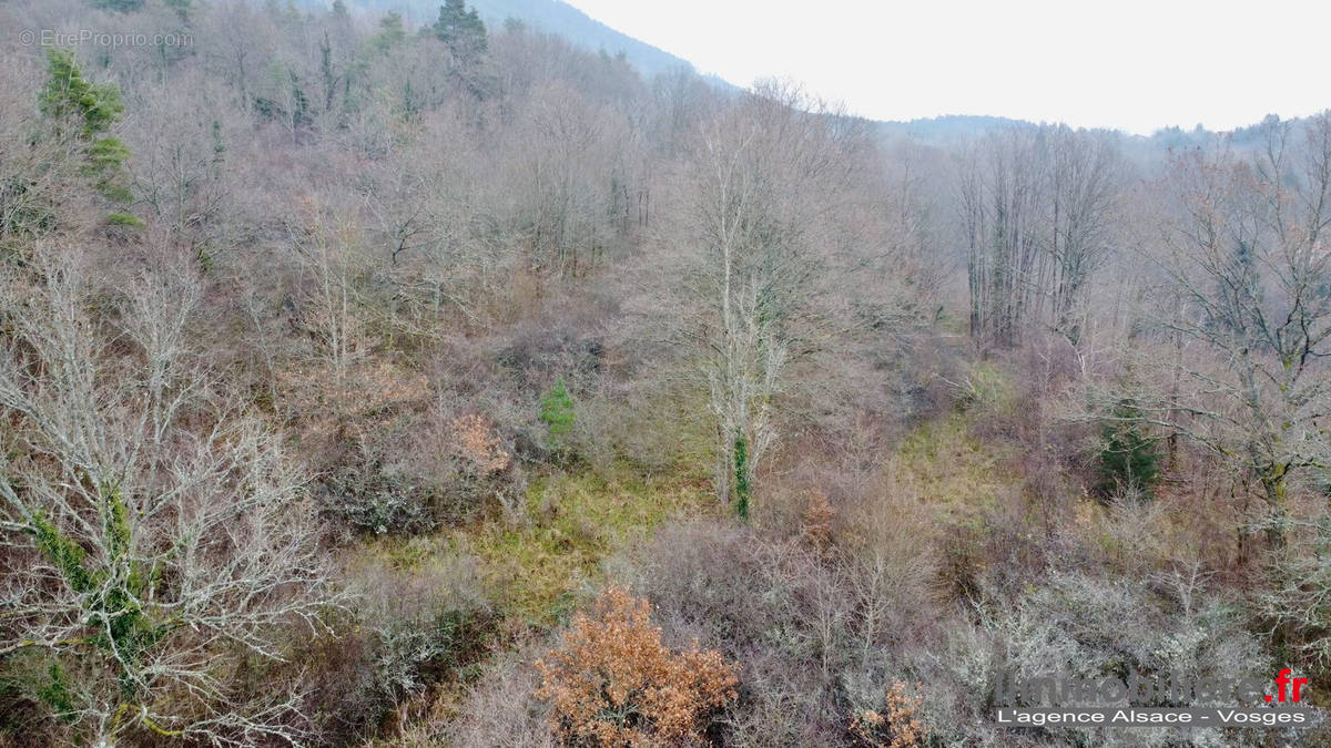 Terrain à SAINT-DIE-DES-VOSGES