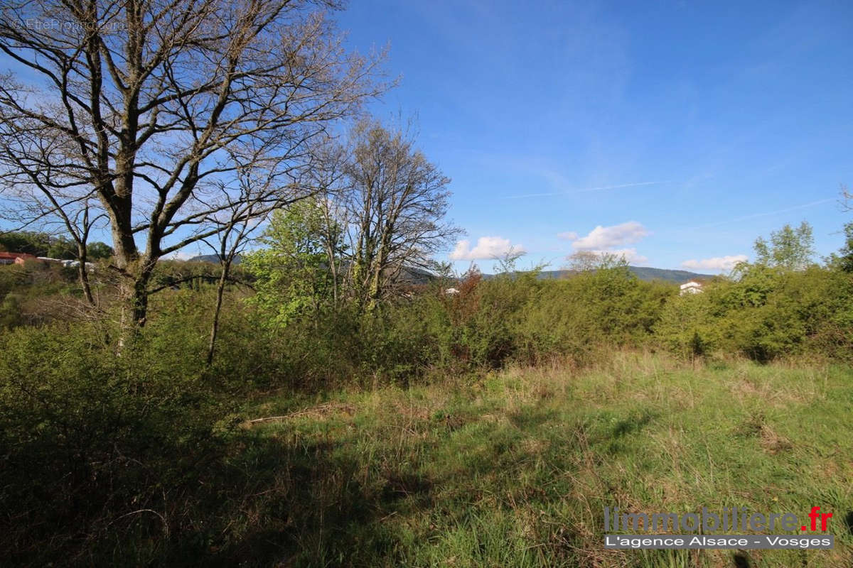 Terrain à SAINT-DIE-DES-VOSGES