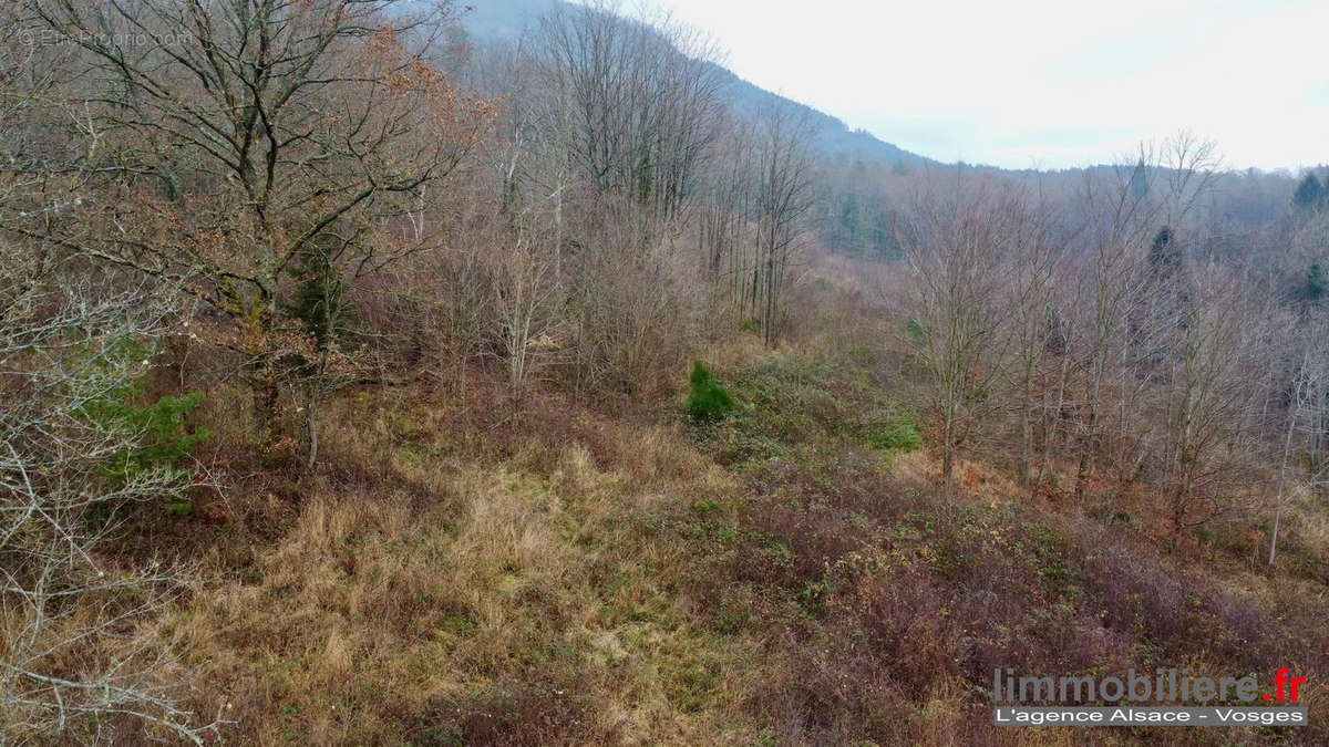 Terrain à SAINT-DIE-DES-VOSGES