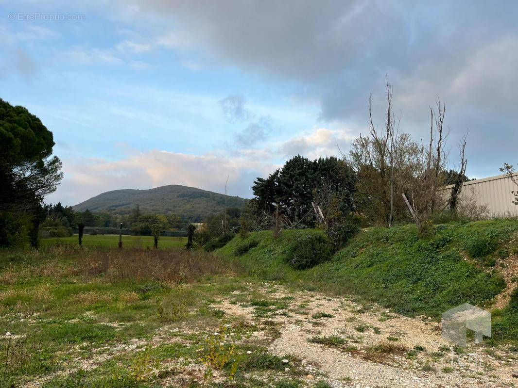 Terrain à SAUZET