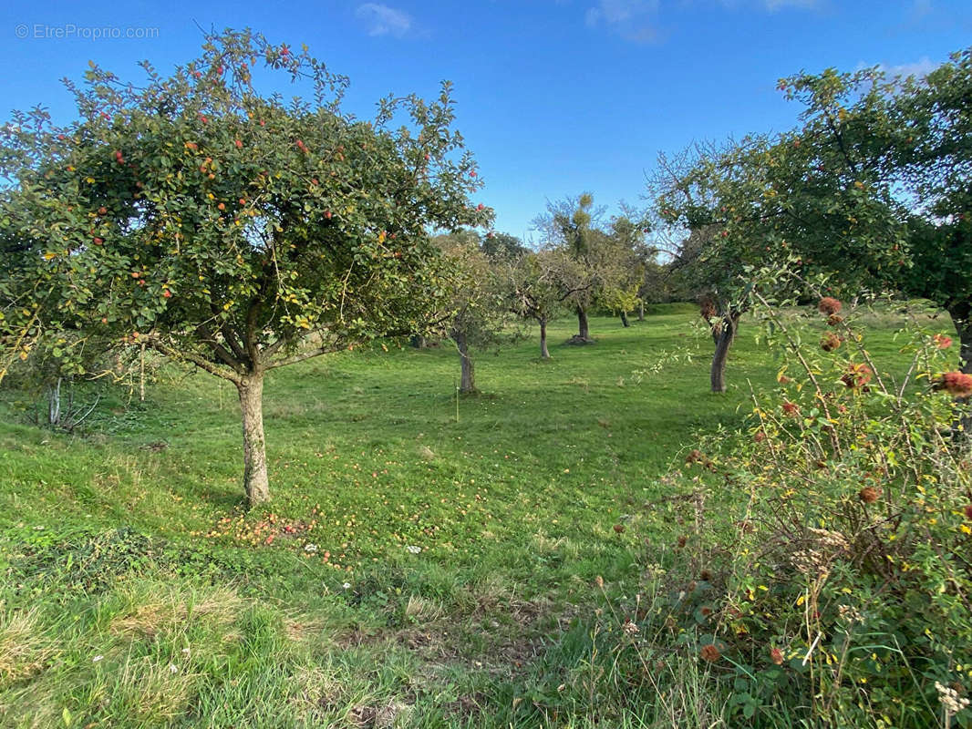 Terrain à QUATREMARE