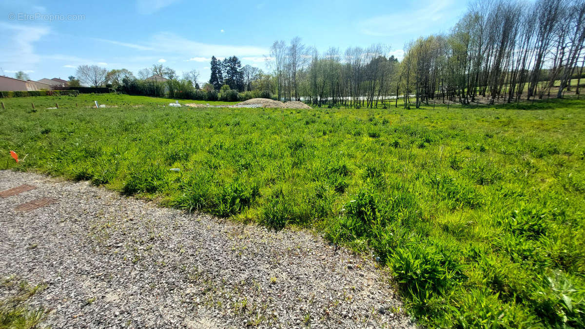 Terrain à COUZEIX