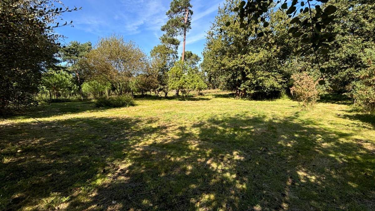 Terrain à GUERANDE