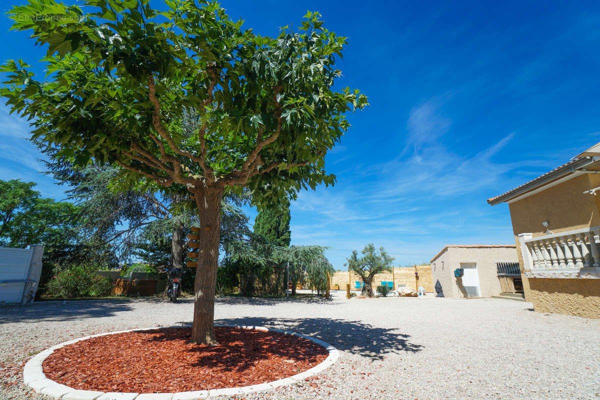 Maison à SALLES-D&#039;AUDE