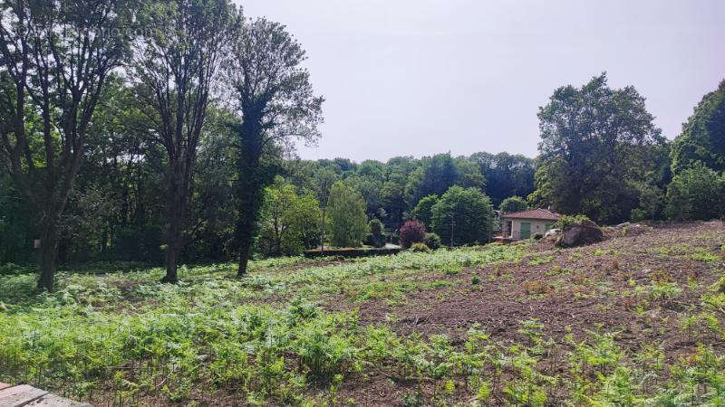 Terrain à SAINT-SALVY-DE-LA-BALME