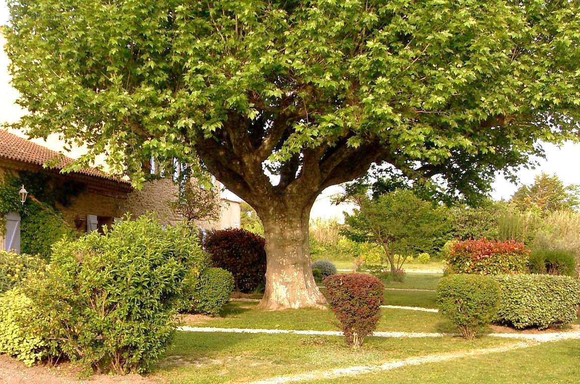 Maison à L&#039;ISLE-SUR-LA-SORGUE