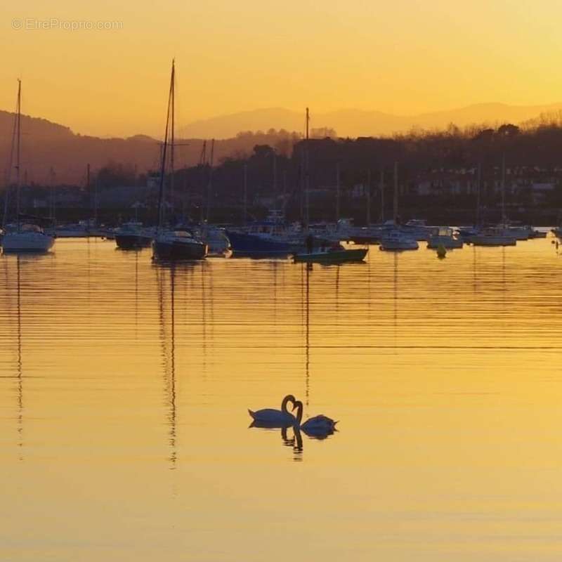 Commerce à HENDAYE