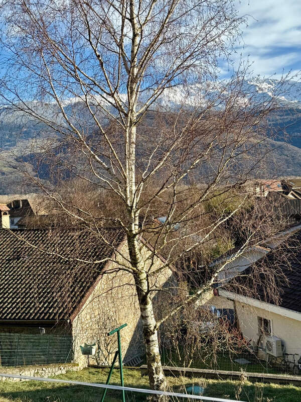 Terrain à LA TERRASSE