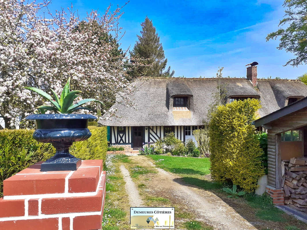 Maison à SASSETOT-LE-MAUCONDUIT