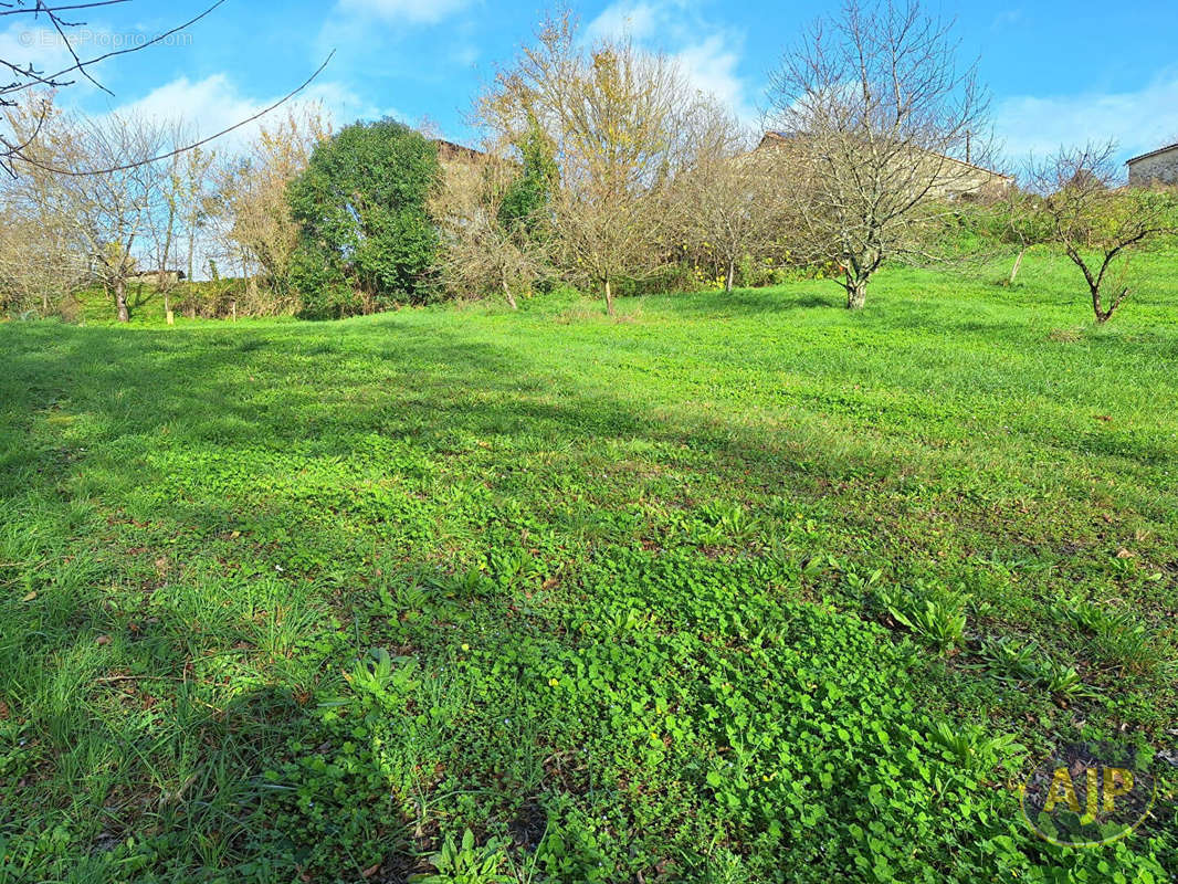 Terrain à CUBZAC-LES-PONTS