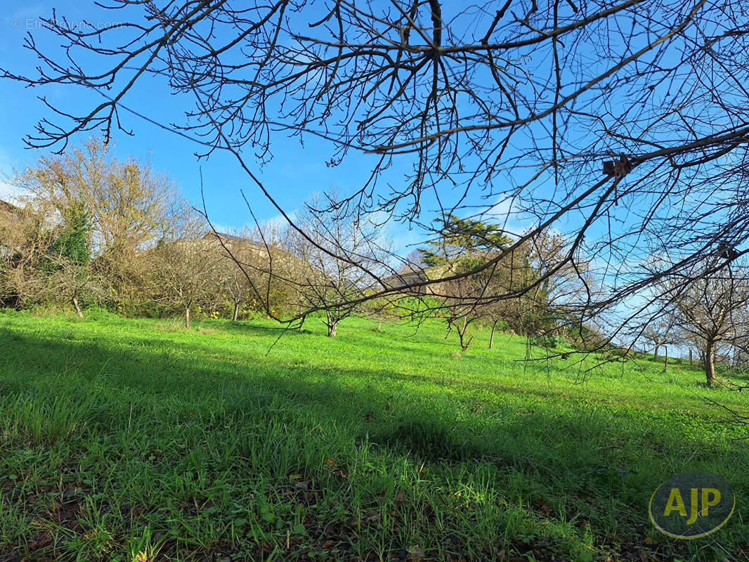 Terrain à CUBZAC-LES-PONTS