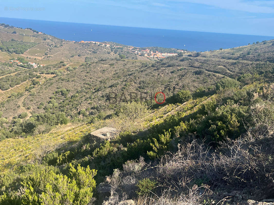 Terrain à PORT-VENDRES