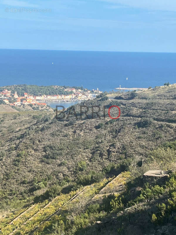 Terrain à PORT-VENDRES