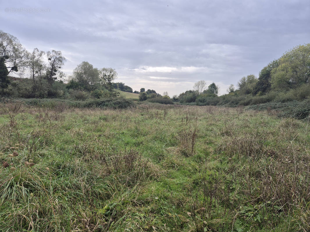 Terrain à SAINT-MARTIN-DU-VIEUX-BELLEME