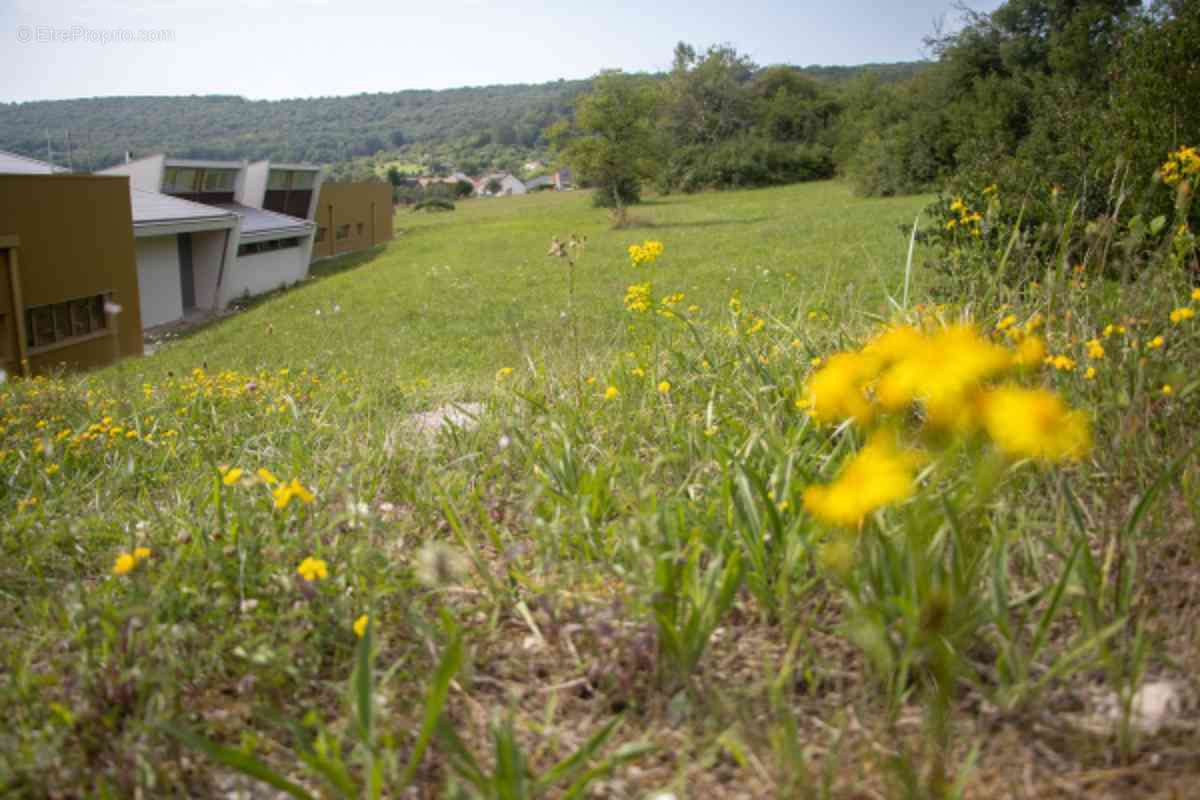 Terrain à AMAGNEY