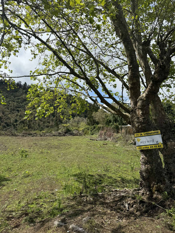 Terrain à SAINT-PIERRE