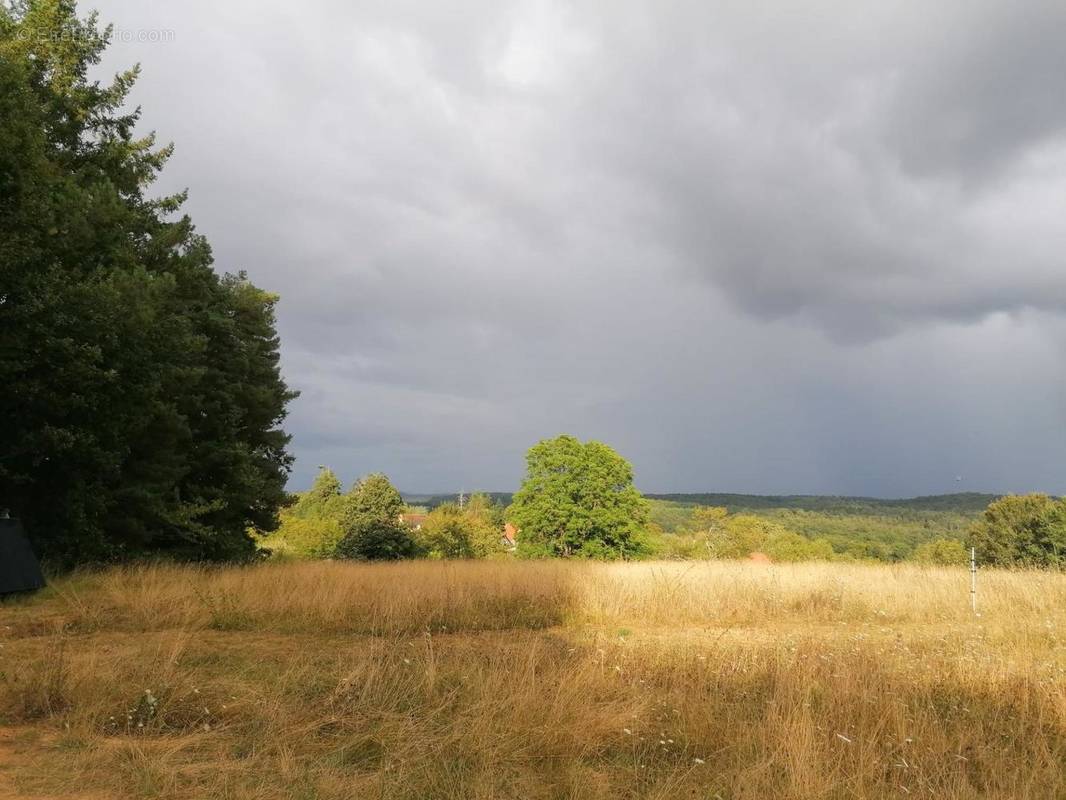 Photo 2 - Terrain à SAVIGNAC-LES-EGLISES