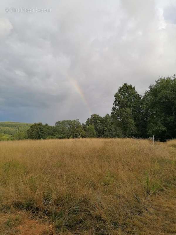 Photo 5 - Terrain à SAVIGNAC-LES-EGLISES