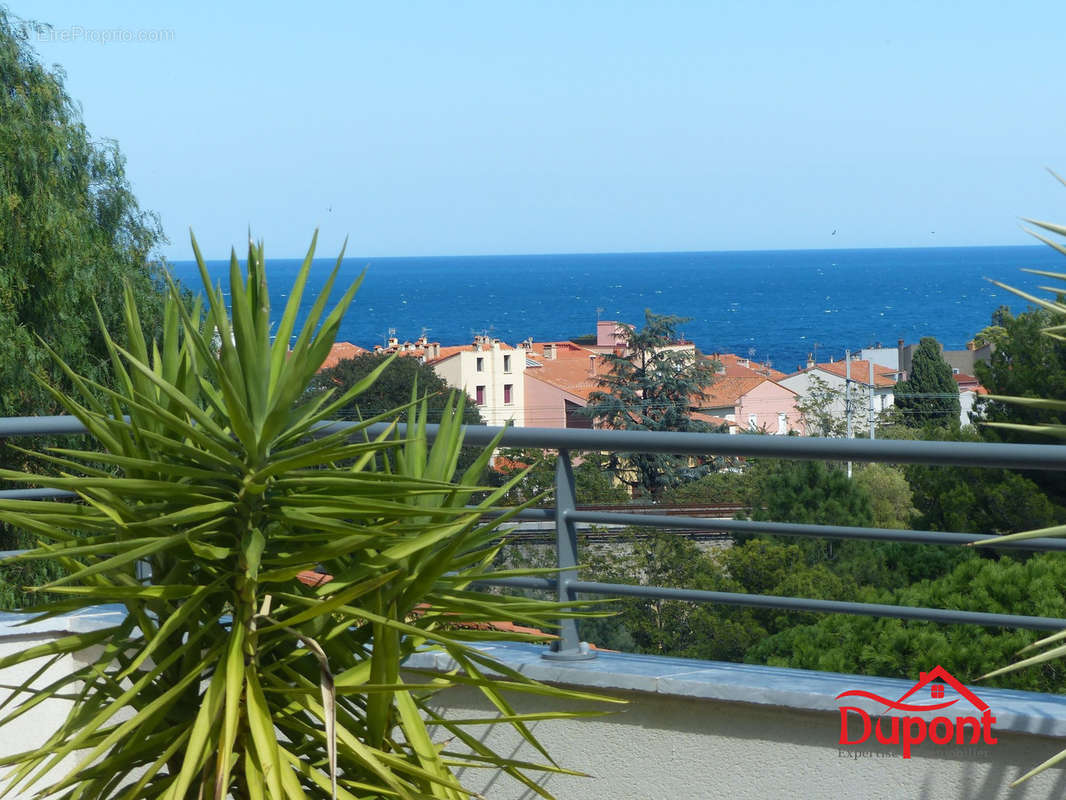 Appartement à COLLIOURE