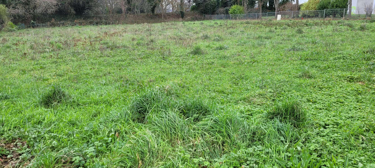 Terrain à PAIMPOL