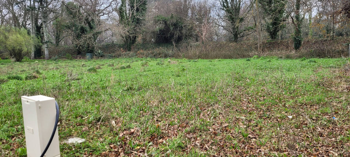 Terrain à PAIMPOL