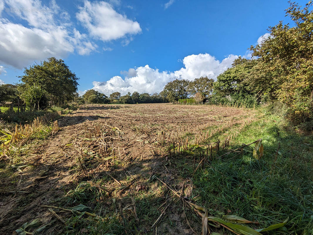 Terrain à MISSILLAC