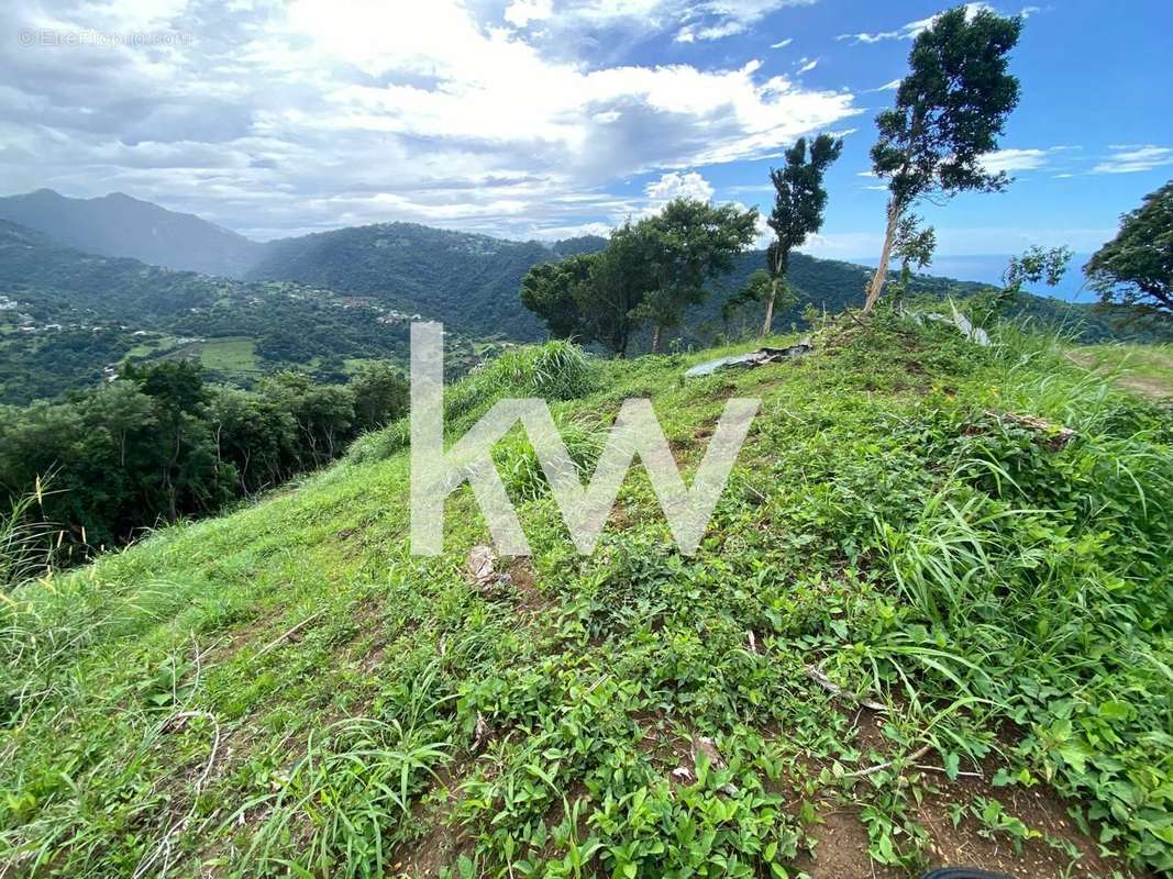 Terrain à LE MORNE-VERT