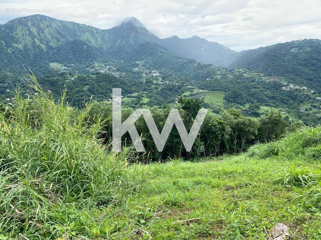 Terrain à LE MORNE-VERT