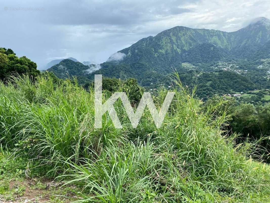 Terrain à LE MORNE-VERT