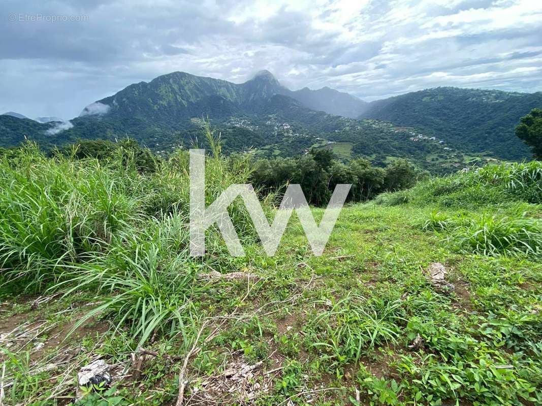 Terrain à LE MORNE-VERT